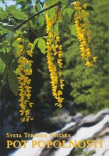Pot popolnosti